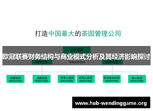 欧冠联赛财务结构与商业模式分析及其经济影响探讨