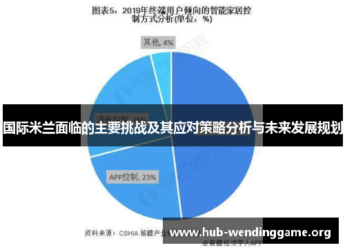国际米兰面临的主要挑战及其应对策略分析与未来发展规划