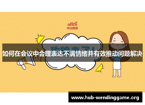 如何在会议中合理表达不满情绪并有效推动问题解决