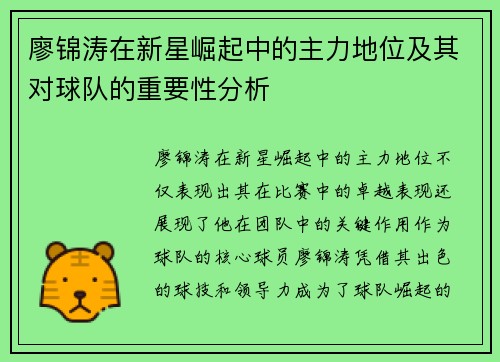 廖锦涛在新星崛起中的主力地位及其对球队的重要性分析