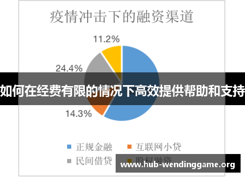 如何在经费有限的情况下高效提供帮助和支持