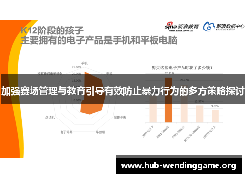 加强赛场管理与教育引导有效防止暴力行为的多方策略探讨