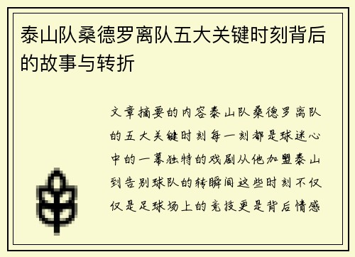 泰山队桑德罗离队五大关键时刻背后的故事与转折