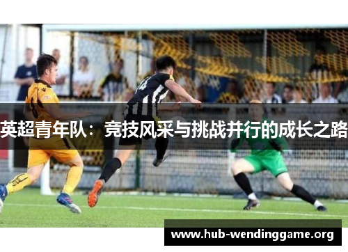 英超青年队：竞技风采与挑战并行的成长之路