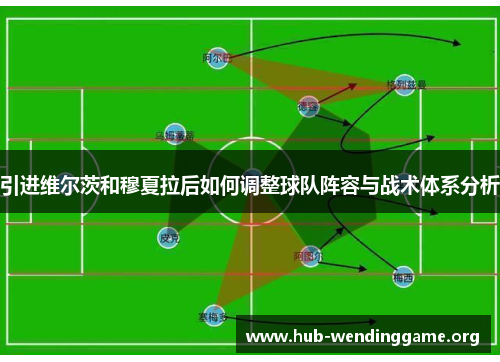 引进维尔茨和穆夏拉后如何调整球队阵容与战术体系分析